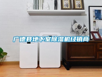 行業新聞廣德縣地下室除濕機經銷商
