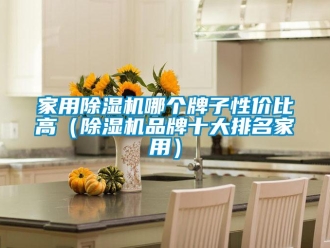 企業新聞家用除濕機哪個牌子性價比高（除濕機品牌十大排名家用）