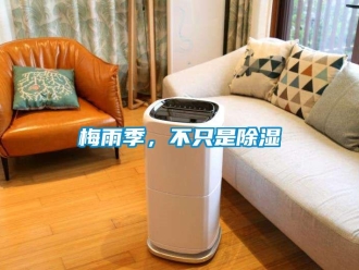 行業新聞梅雨季，不只是除濕