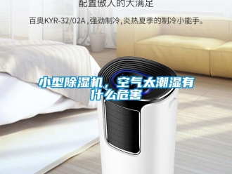 行業新聞小型除濕機，空氣太潮濕有什么危害