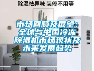 行業(yè)新聞市場回顧及展望：全球與中國冷凍除濕機市場現(xiàn)狀及未來發(fā)展趨勢