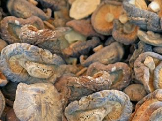 行業(yè)新聞蘑菇干燥和包裝過(guò)程中的水分控制