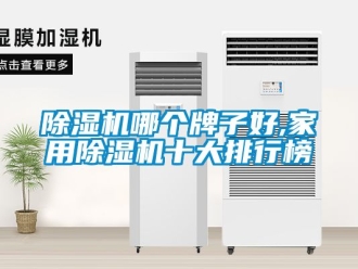 常見問題除濕機(jī)哪個牌子好,家用除濕機(jī)十大排行榜