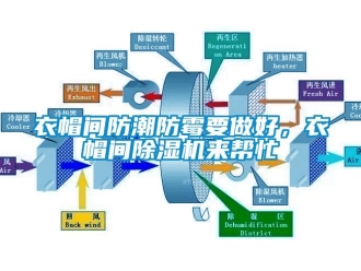 知識百科衣帽間防潮防霉要做好，衣帽間除濕機來幫忙