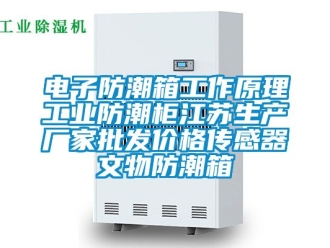 常見問題電子防潮箱工作原理工業防潮柜江蘇生產廠家批發價格傳感器文物防潮箱
