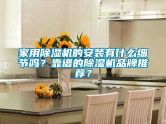 企業(yè)新聞家用除濕機的安裝有什么細節(jié)嗎？靠譜的除濕機品牌推薦？