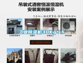 企業(yè)新聞工業(yè)除濕機30Kg／h