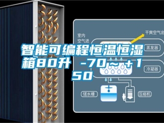 知識百科智能可編程恒溫恒濕箱80升 -70～＋150℃