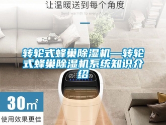 常見問題轉輪式蜂巢除濕機—轉輪式蜂巢除濕機系統知識介紹