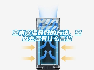企業新聞室內除濕最好的方法，室內去濕有什么高招