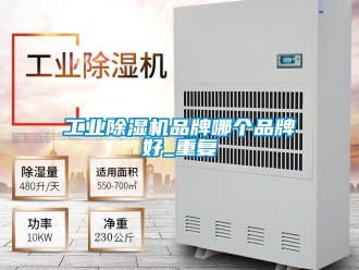 常見問題工業除濕機品牌哪個品牌好_重復