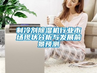 新聞資訊制冷劑除濕機行業市場現狀分析與發展前景預測