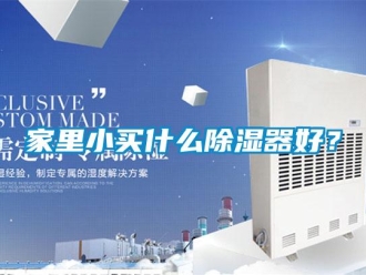 行業(yè)新聞家里小買什么除濕器好？