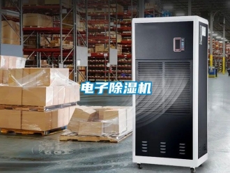 行業新聞電子除濕機