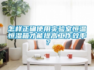 知識百科怎樣正確使用實驗室恒溫恒濕箱才能提高工作效率？