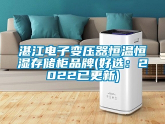 知識百科湛江電子變壓器恒溫恒濕存儲柜品牌(好選：2022已更新)