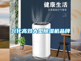 企業新聞興化高效大型除濕機品牌