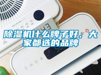 企業新聞除濕機什么牌子好，大家都選的品牌