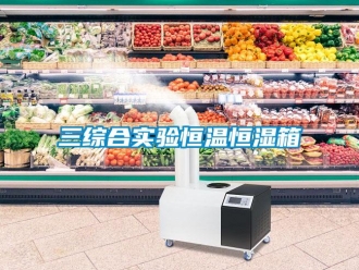 知識百科三綜合實驗恒溫恒濕箱