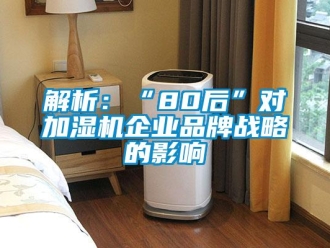 行業新聞解析：“80后”對加濕機企業品牌戰略的影響
