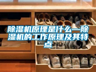 行業(yè)新聞除濕機(jī)原理是什么—除濕機(jī)的工作原理及其特點(diǎn)