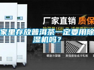 行業(yè)新聞家里存放普洱茶一定要用除濕機(jī)嗎？