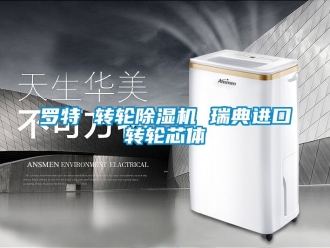 常見問題羅特 轉輪除濕機 瑞典進口轉輪芯體
