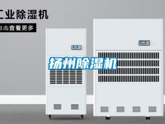 行業新聞揚州除濕機