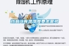 藥品冷庫溫濕度要求是多少？