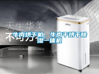 行業(yè)新聞牛肉烘干機(jī)，牛肉干烘干除濕一體機(jī)