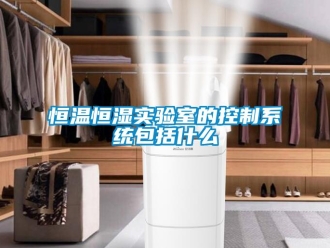知識(shí)百科恒溫恒濕實(shí)驗(yàn)室的控制系統(tǒng)包括什么