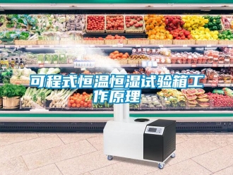 知識百科可程式恒溫恒濕試驗箱工作原理