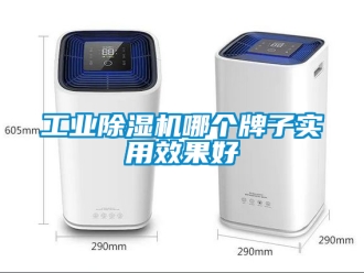 常見問題工業(yè)除濕機(jī)哪個牌子實用效果好