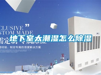 企業新聞地下室太潮濕怎么除濕