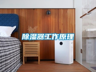 行業新聞除濕器工作原理