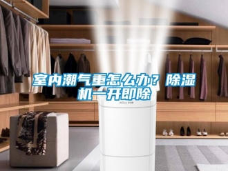 常見問題室內(nèi)潮氣重怎么辦？除濕機(jī)一開即除