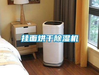 行業(yè)新聞掛面烘干除濕機