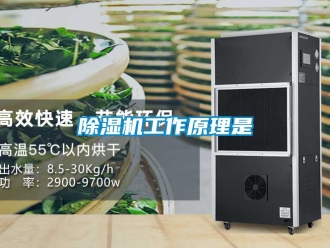 行業新聞除濕機工作原理是