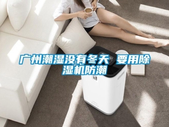 行業新聞廣州潮濕沒有冬天 要用除濕機防潮