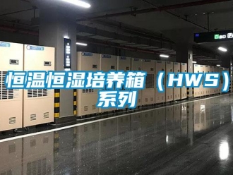 知識百科恒溫恒濕培養箱（HWS）系列