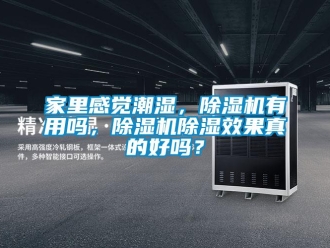 行業新聞家里感覺潮濕，除濕機有用嗎，除濕機除濕效果真的好嗎？