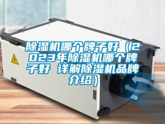 企業新聞除濕機哪個牌子好（2023年除濕機哪個牌子好 詳解除濕機品牌介紹）