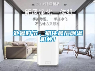 行業新聞處暑時節，抓住最后除濕機會！