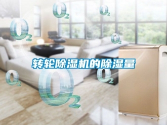 常見問題轉輪除濕機的除濕量