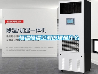 知識百科恒溫恒濕空調原理是什么