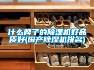 行業(yè)新聞什么牌子的除濕機(jī)好品質(zhì)好(國產(chǎn)除濕機(jī)排名)