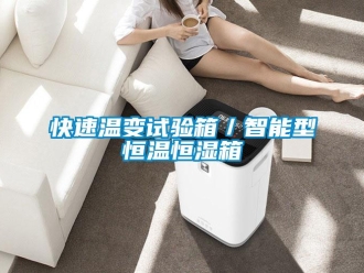 知識百科快速溫變試驗箱／智能型恒溫恒濕箱