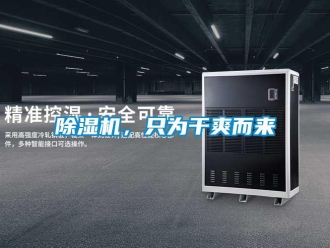 常見問題除濕機，只為干爽而來