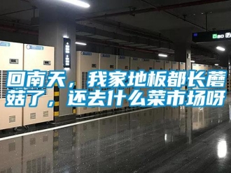 行業新聞回南天，我家地板都長蘑菇了，還去什么菜市場呀
