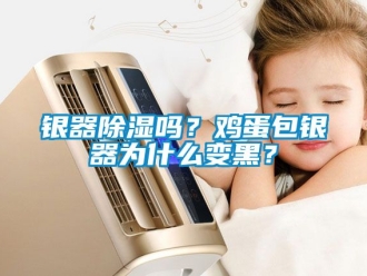 行業(yè)新聞銀器除濕嗎？雞蛋包銀器為什么變黑？